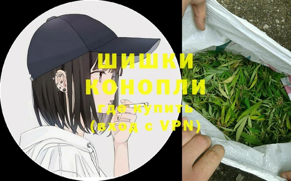 mdpv Богородицк