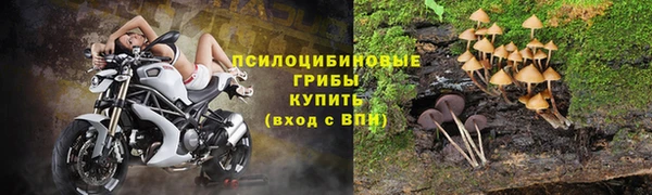 mdpv Богородицк