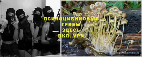 кокаин премиум Богданович
