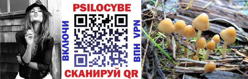 цены наркотик  Няндома  Галлюциногенные грибы Psilocybe 