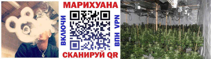Канабис планчик как найти закладки Няндома